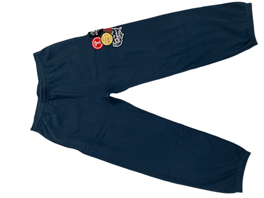 True religion vintage Men blue jogger size Medium