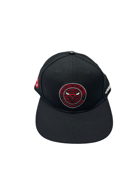 Chicago Bulls national basketball Association pro standard Black