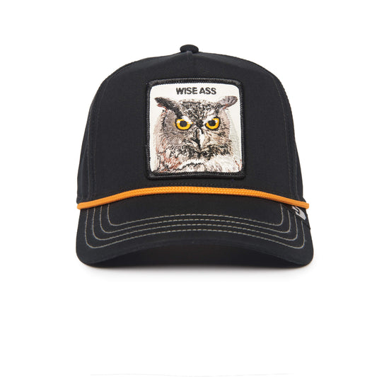 The Farm- Wise owl