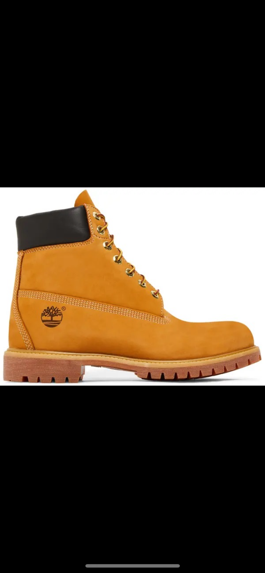 Timberland premium 6 inch waterproof boot wheat new book size 10