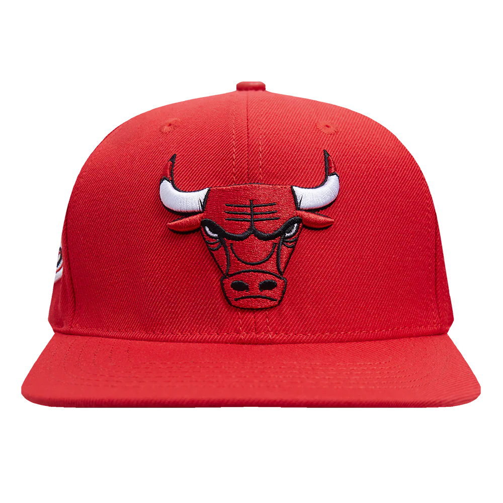 Chicago Bulls Snapback Hat