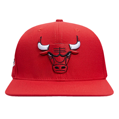 Chicago Bulls Snapback Hat