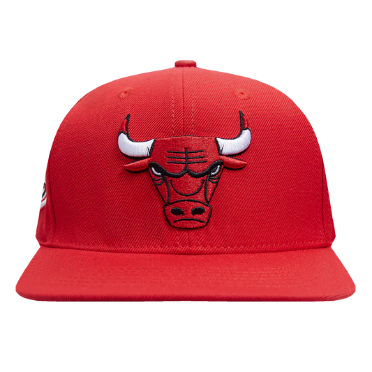 Chicago Bulls Snapback Hat