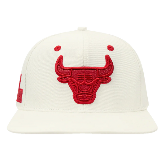 Chicago Bulls Triple Tonal Wool Snapback Hat