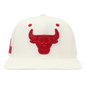 Chicago Bulls Triple Tonal Wool Snapback Hat