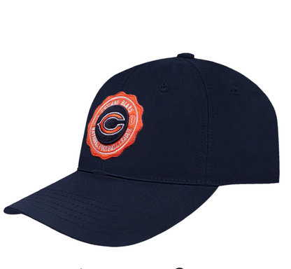 Chicago Bears Dad Hat NFL